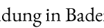 Logo WeiterbildungBW trans